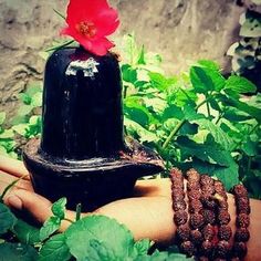 Shivling Puja Images Photo
