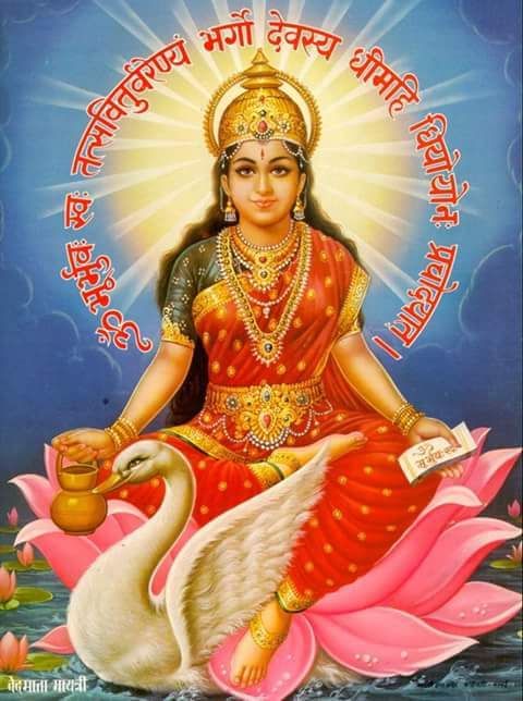 God Mata Gayatri Ji images wallpaper