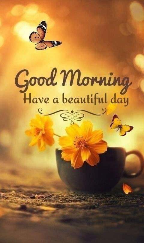 Beautiful Good Morning Day Wishes Pic Image Download Free