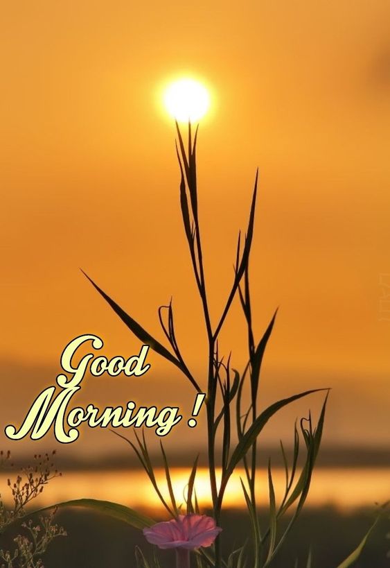 Good Morning Images} 2022 Good Morning Images HD Download - Bhakti Photos