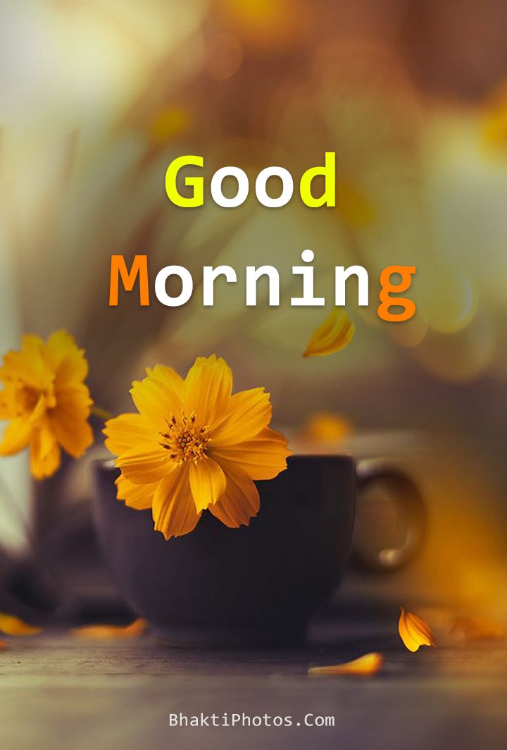 2022 Good Morning Images HD Download