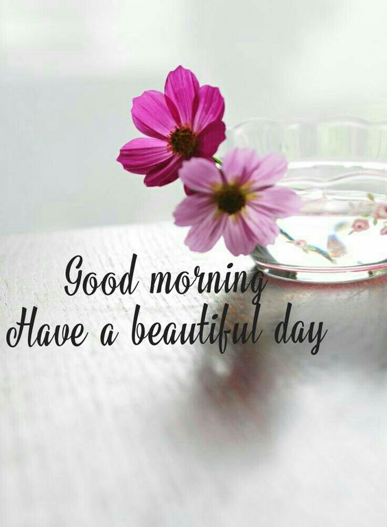 Good Morning Beautiful Day HD Download Wallpaper